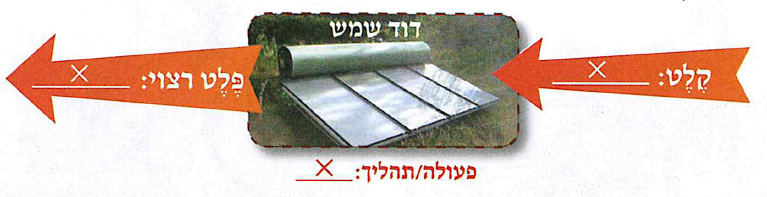 (בספר שתי תמונות:)